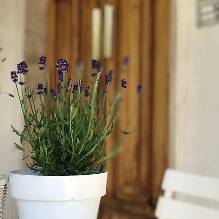 La Casa Di Zia Rita Apartman Porto SantʼElpidio