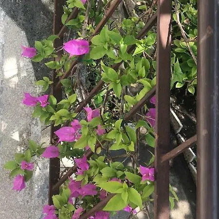 La Casa Di Zia Rita Apartman