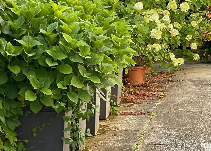 公寓 La Casa Di Zia Rita