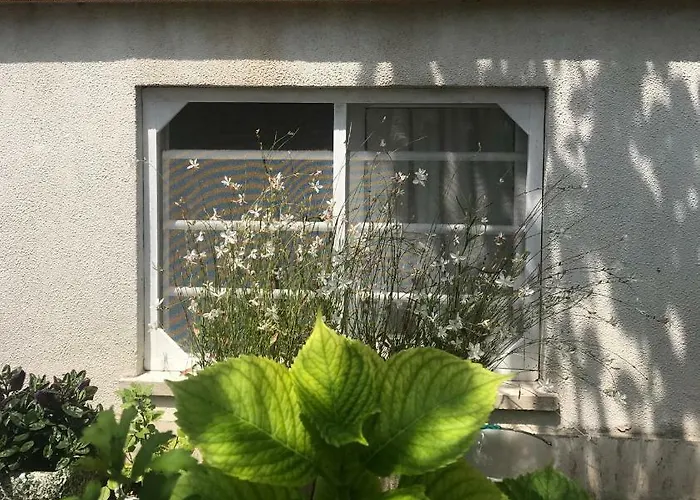 公寓 La Casa Di Zia Rita *