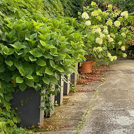 Appartamento La Casa Di Zia Rita
