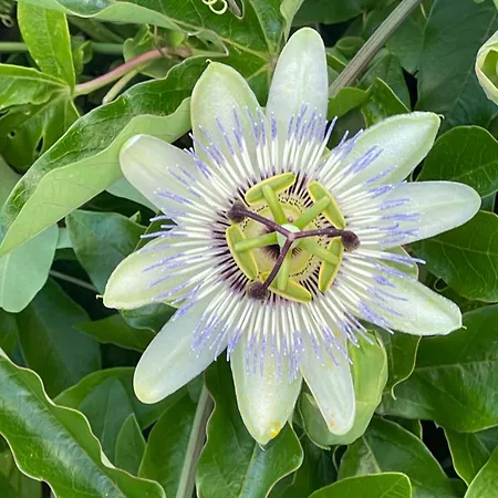 Διαμέρισμα La Casa Di Zia Rita