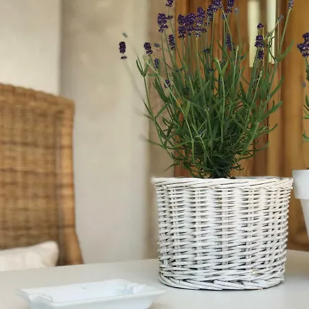 La Casa Di Zia Rita Διαμέρισμα