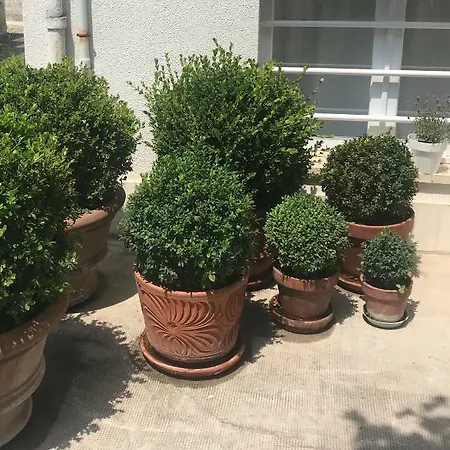 La Casa Di Zia Rita Porto Sant'Elpidio