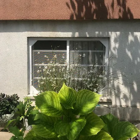 Appartamento La Casa Di Zia Rita *