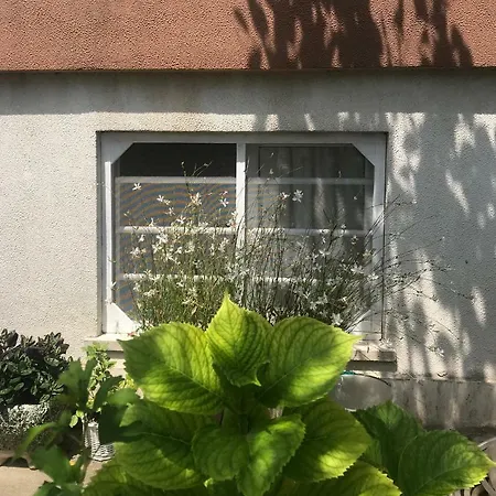 Διαμέρισμα La Casa Di Zia Rita *