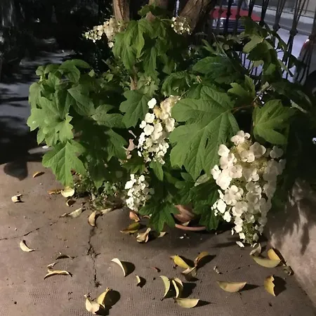 La Casa Di Zia Rita *